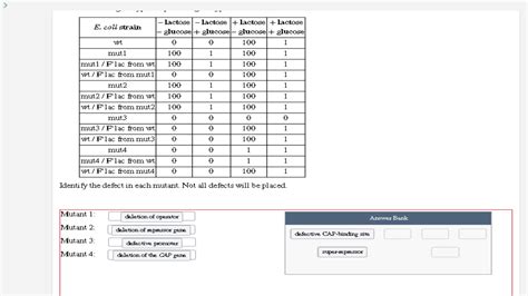 Solved Suppose Jim Isolated Four E Coli Mutants Muti To Chegg