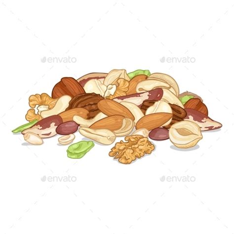 Pile Of Different Nuts Vectors Graphicriver