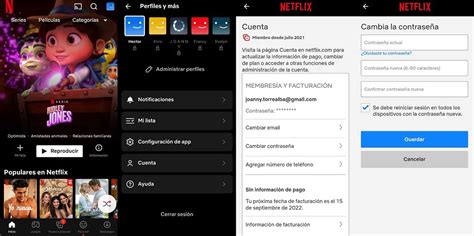 C Mo Cambiar La Contrase A De Netflix Desde El M Vil Celular