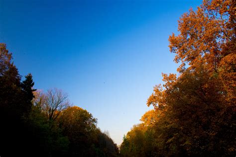 Autumn Sky Free Photo Download Freeimages