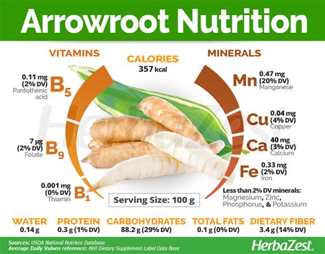 Arrowroot Herbazest