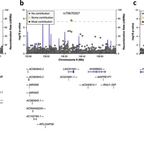 Regional Association Plots For The Three Genome Wide Significant V