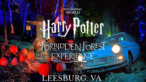 Harry Potter A Forbidden Forest Experience Leesburg Virginia Morven