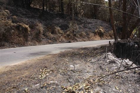 Fotos Del Fuego En Sierra Bermeja Paisaje Negro Y Olor A Quemado Una