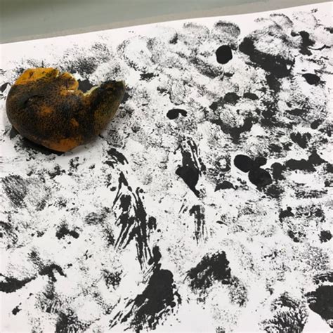 freetextures creative resources