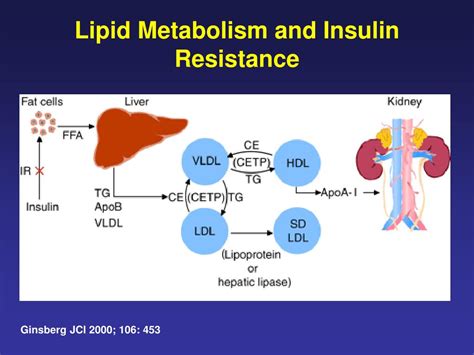 Ppt Metabolic Syndrome And Dyslipidemia Effective Strategies For