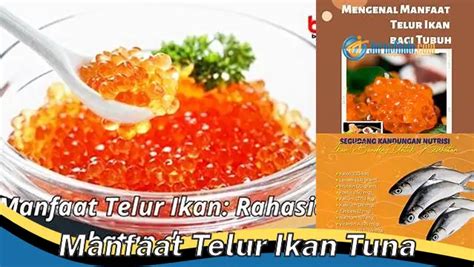 Banyak Yang Belum Tau Ini Dia Manfaat Telur Ikan Tuna Yang Bikin