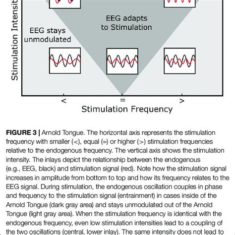 Different Forms Of Non Invasive Brain Stimulation Nibs The Left Download Scientific