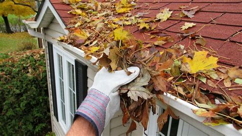 Gutter Cleaning How To Do It Yourself Decorator Advice