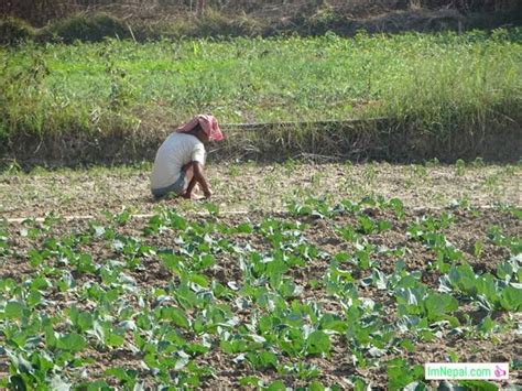 100 Information And Facts About Nepal’s Economy