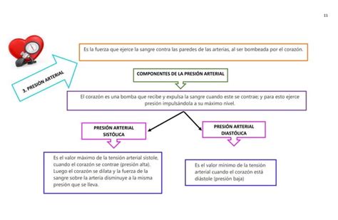 Mapas Conceptuales Signos Vitales Taller Ppt