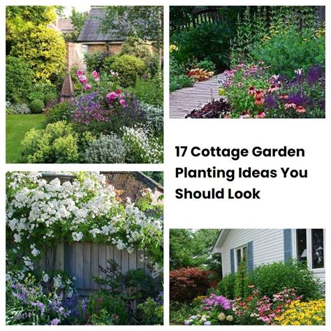 Cottage Garden Planting Ideas You Should Look Sharonsable