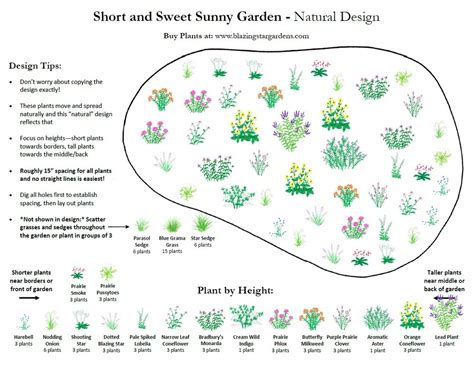 Free Short And Sunny Pollinator Garden Design — Blazing Star Gardens