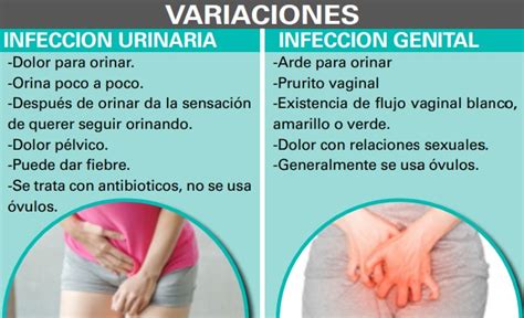 Aprende A Diferenciar Las Infecciones Vaginales Y Urinarias Te Lo