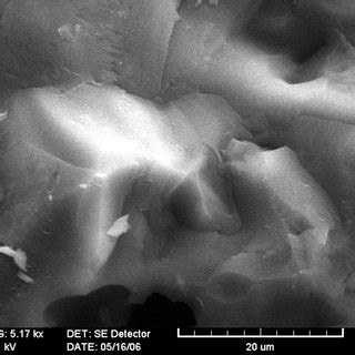 Sem Micrographs Of Fracture Surfaces Of Specimens Sintered At C