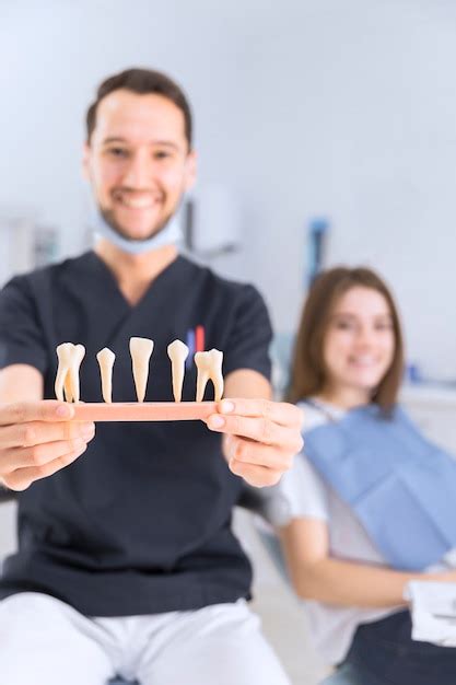 Dentista Masculina Mostrando O Modelo De Dentes Sentado Na Frente Do