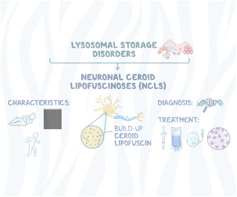 Neuronal Ceroid Lipofuscinoses Batten Disease