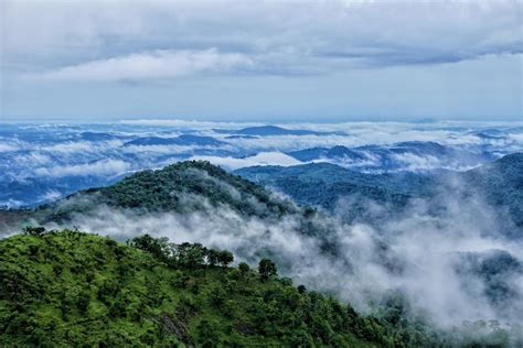 The Best Things To See And Do In Wayanad Kerala