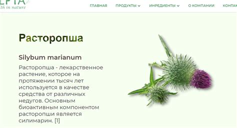 Расторопша плоды Силыиби Мариани Фруктус - описание препарата ...