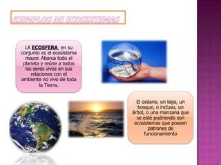 Ecosistema Por Aracely Carranza PPT Descarga Gratuita