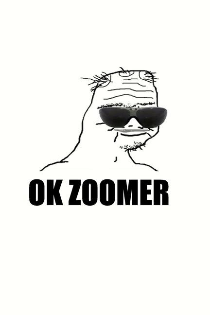 Ok Zoomer - A Gag Notebook Cover with Ok Zoomer Meme For The Older Generations : Fight back ...