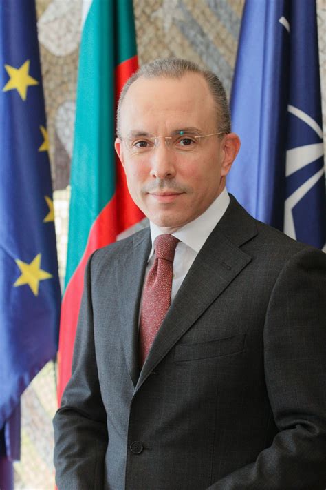 МВнР :: Ръководител на мисията