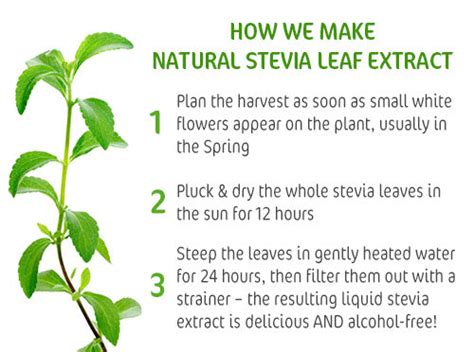 Stur Drinks Natural Stevia Leaf Extract