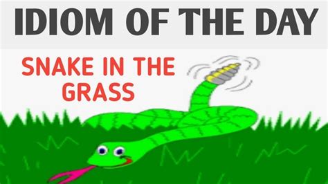 Idiom Express O Idiom Tica Snake In The Grass Youtube