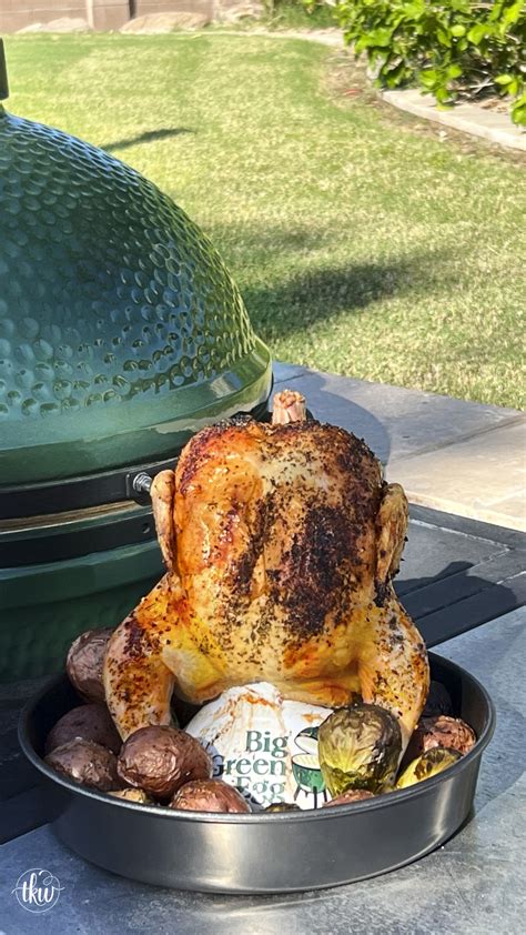 Grilled Beer Can Chicken Project Isabella