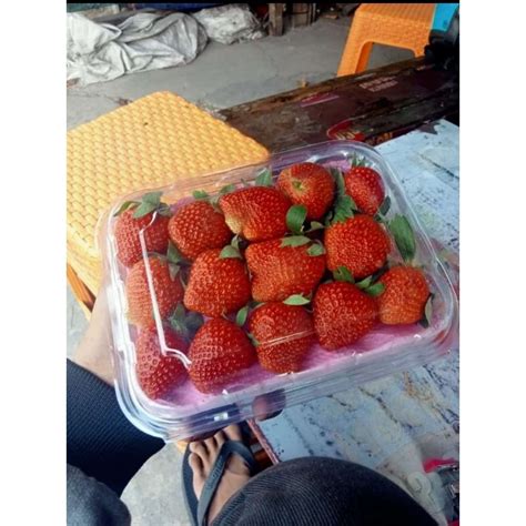 Jual Buah Strawberry Bandung Kemasan Kg Shopee Indonesia