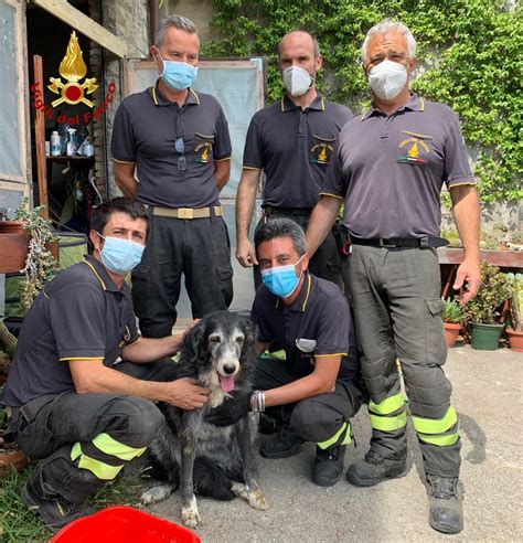 Un Cane Resta Incastrato In Un Cunicolo Salvato Dai Vigili Del Fuoco