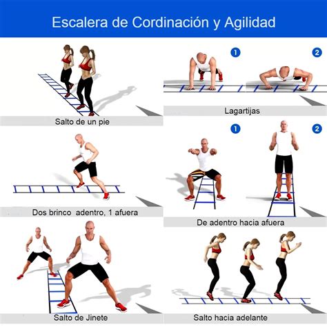 Escalera Para Entrenamiento Deportes GymPro Cl