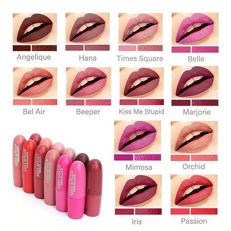 Miss Rose Long-lasting Lipstick Set - 12 PCS Multi Colored Matte Lip ...
