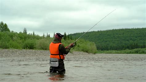 un pescador capturas pescado desde detrás en un montaña río 49096125