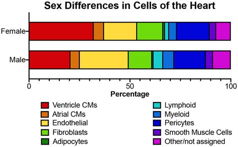 Matters Of The Heart Cellular Sex Differences PMC