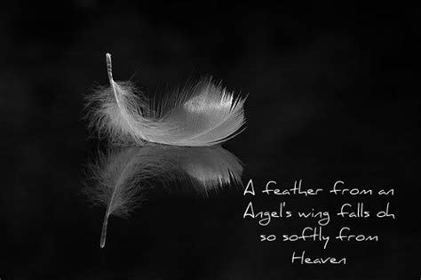 Angel Feather Quotes Quotesgram Angel Feathers Quotes Feather Quotes Angel Feathers