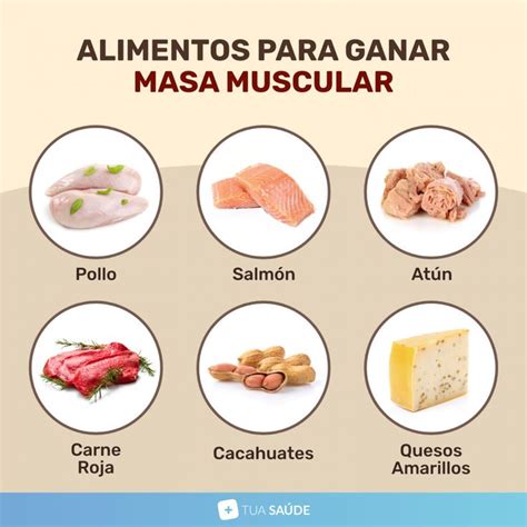 Tua Sa De En Espa Ol On Instagram Los Alimentos Para Ganar Masa