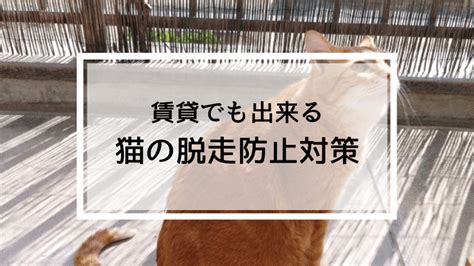 賃貸でできる猫の脱走防止対策3選！100均で叶うベランダ対策を紹介【大阪賃貸】｜karilun タカラタイムズ