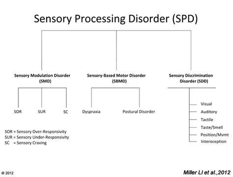 Subtypes Of Spd Star Institute