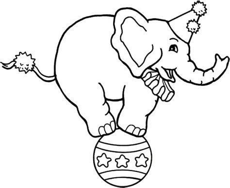 Drawing Circus Elephant Coloring Pages Best Place To Color