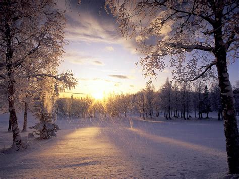 🔥 50 Snow Backgrounds And Wallpapers Wallpapersafari