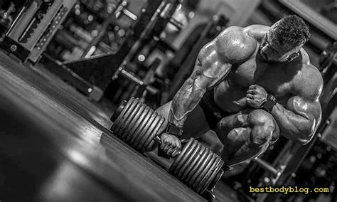 Тяга Гантели В Наклоне | 4 Плюса Этого Упражнения | bestbodyblog.com