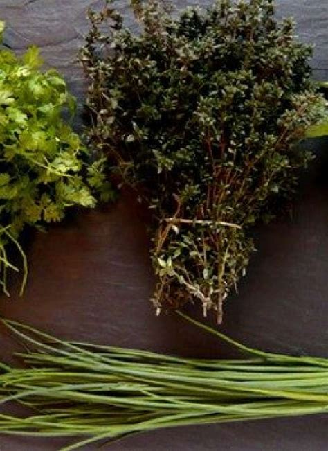 Herbs — Eatwell101