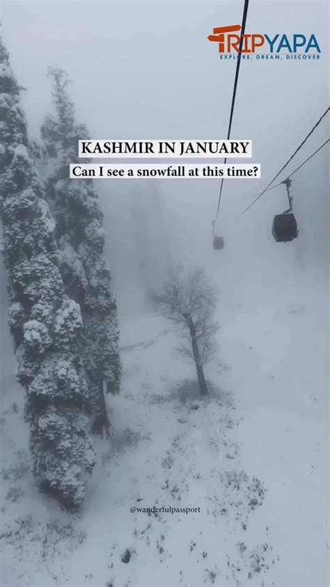 Kashmir Good Time To Visit In January⬇️ ⛄can I See A Snowfall At This