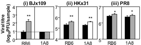 Pdf The Role Of Neutrophils During Mild And Severe Influenza Virus