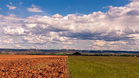 Rotación De Cultivos ¿qué Es Agroingenia