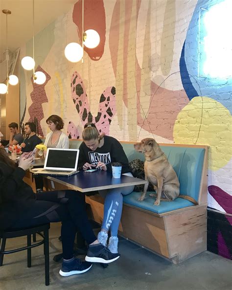 Dog Friendly Cafe Boris And Horton Nyc — Rock Mama Nyc