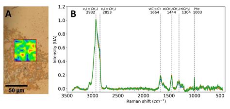 Multimodal Analytical Platform On A Multiplexed Surface Plasmon Resonance Imaging Chip For The