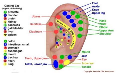 Putting A Clothespin On Your Earlobe Can Have An Effect On Your Health In Just 5 Seconds