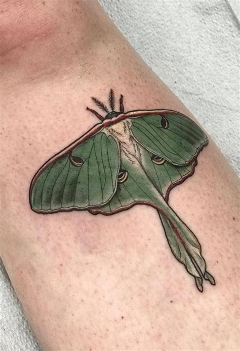 What Are The Different Meanings Of Moth Tattoos